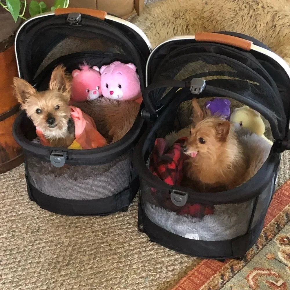 VISIT MY HUGE PETS CLOSET 🦋🦄🌈🍄